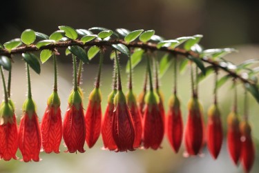 惠州惠阳区3私人快速借钱网，轻松解决资金难题