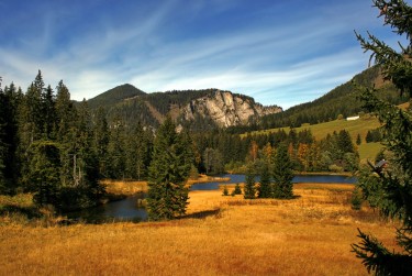 惠州惠阳区3民间私贷攻略：揭秘低成本借贷的秘密