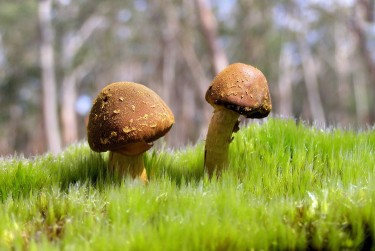 惠州惠阳区3私人老板放款：轻松融资的秘密通道